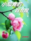 小知青的四合院晋江