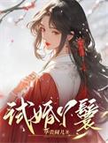 试婚丫鬟的结局是什么