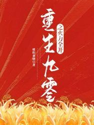 重生九零之火力全开txt