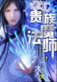 贵族魔法师起点