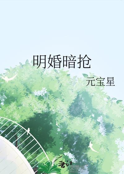 明婚暗抢元宝星