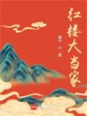 红楼大当家全本TXT