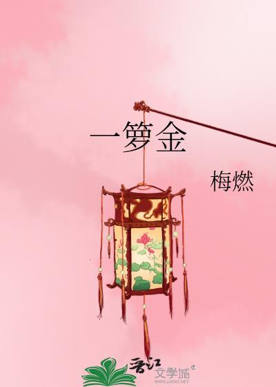 一箩金txt