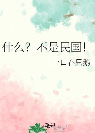 什么不是民国by一口吞只鹅番外