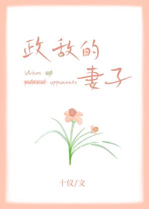 政敌的妻子 十仪