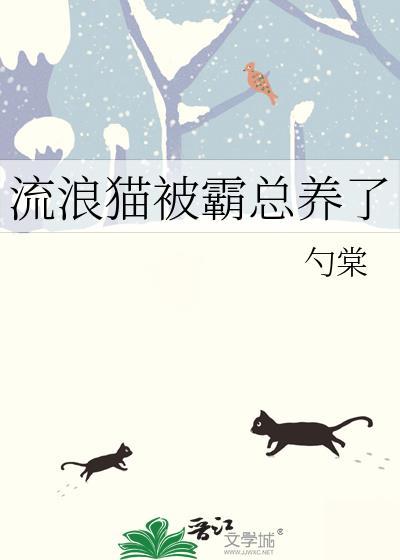 流浪猫被收养后性格变化