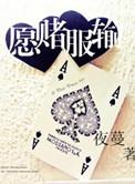 愿赌服输动漫