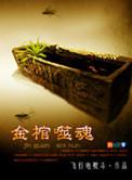 金棺噬魂70集免费播放
