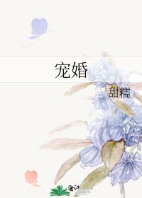 宠婚豪门[重生
