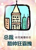 总裁酷帅狂霸拽番外
