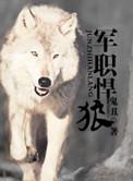军职悍狼(重生)晋江