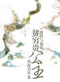 傲慢与偏见之贫穷贵公主2k