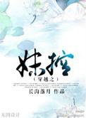 穿越之妹控全文