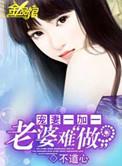 宠妻一对一 老婆难做