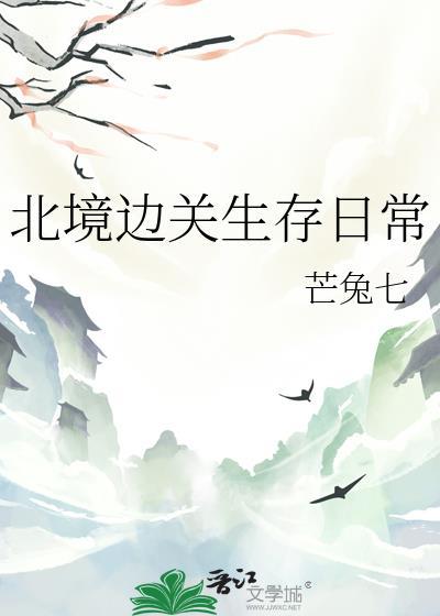 穿越边关生存录