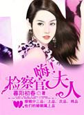我的检察官大人