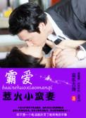 霸宠小小妻