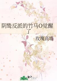 林婳陆时逸