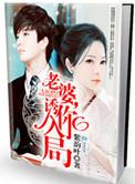 诱妻入局总裁深夜来免费阅读全文