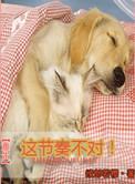 这节奏不对txt百度