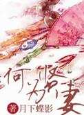何为贤妻txt资源