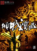 倾城宝典激活码