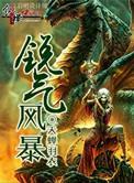 暴风锐身价