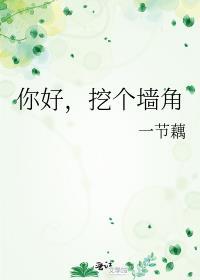 你好挖个墙角txt