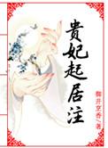 贵妃起居注孙贵妃结局