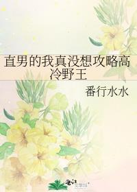 直男的我真没想攻略高冷野王番外txt
