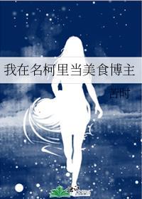 我在名侦探柯南世界打酱油