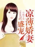 盛宠妻宝全文免费阅读