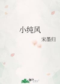 小纯风TXT