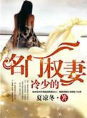 名门暖婚之权少追妻攻略