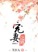 宠妻之路作者