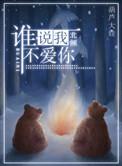 谁说我不爱你北倾实体书番外