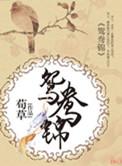 电视剧鸳鸯锦