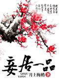 一品小妾