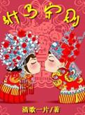 驸马守则(清歌一片)