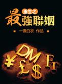 作者是一袭白衣