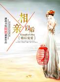 婚后宠爱之相亲以后简思百度