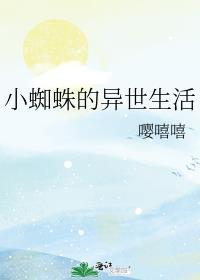 小蜘蛛的日常