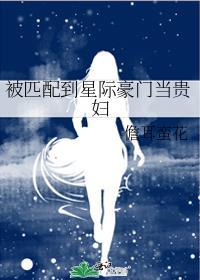 星际匹配系统