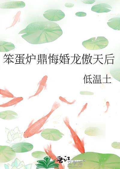 笨蛋炉鼎悔婚龙傲天后讲的什么