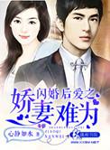 闪婚娇妻惹人疼完整版