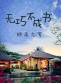 无巧不成书反义词