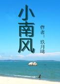 小南风集团老板是谁