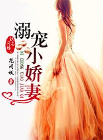 钻石闪婚之溺宠小娇妻特别好看