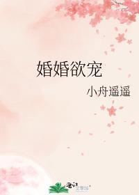 婚婚欲宠晋江文学城