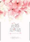此婚已经年第二部
